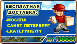 Доставка интернет-магазина stabilizator-ru.ru